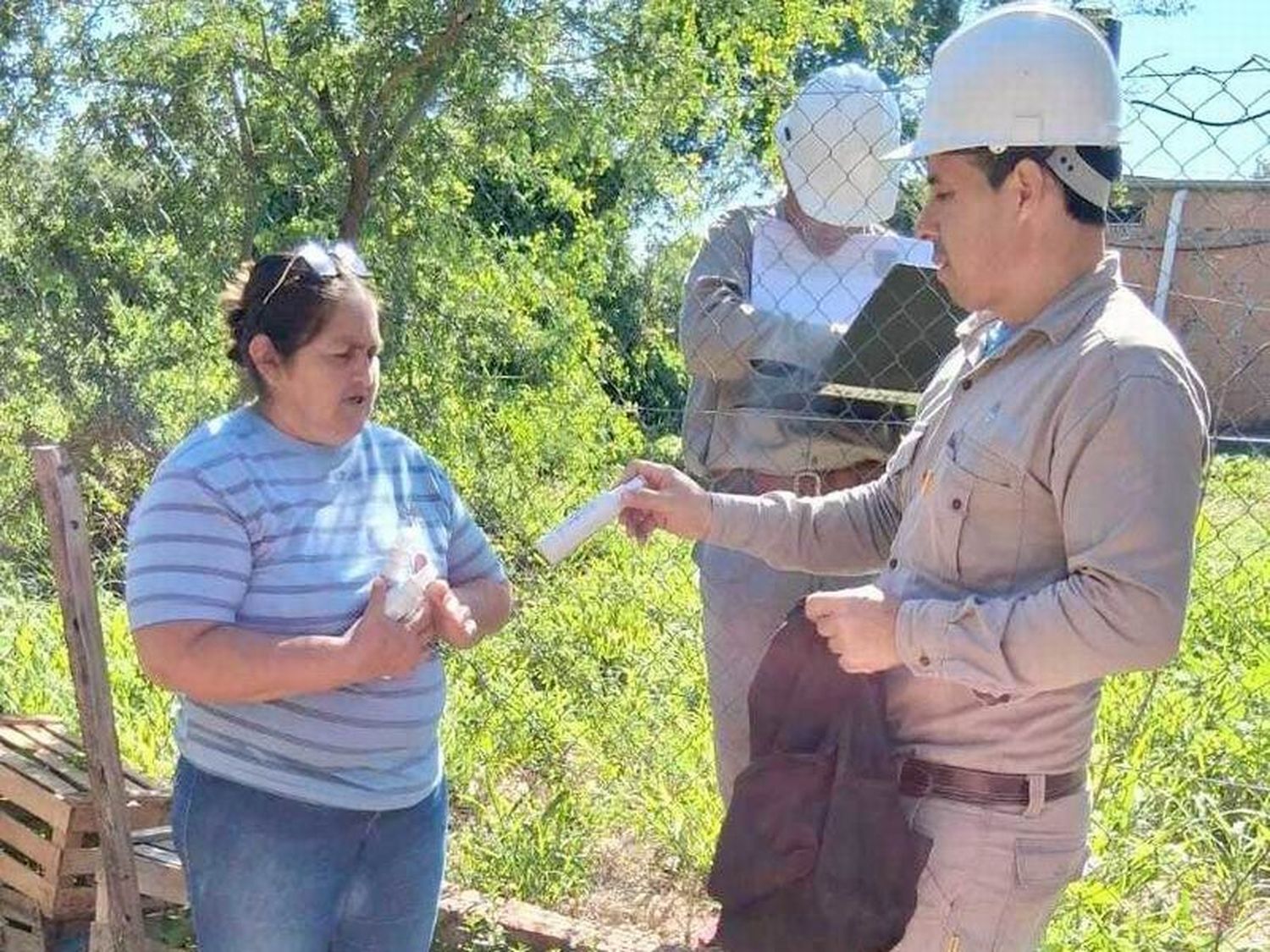 Ligero aumento de los casos de dengue en la última semana