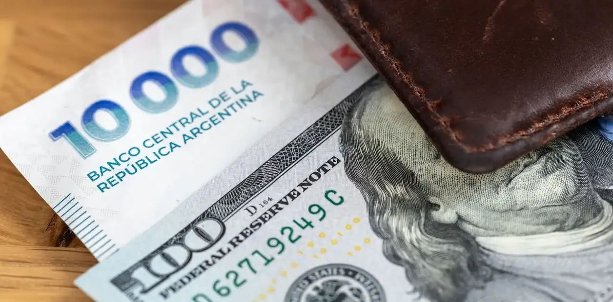 Cayó la compra de dólares en mayo: los argentinos adquirieron US$2212 millones, la cifra más baja en el año