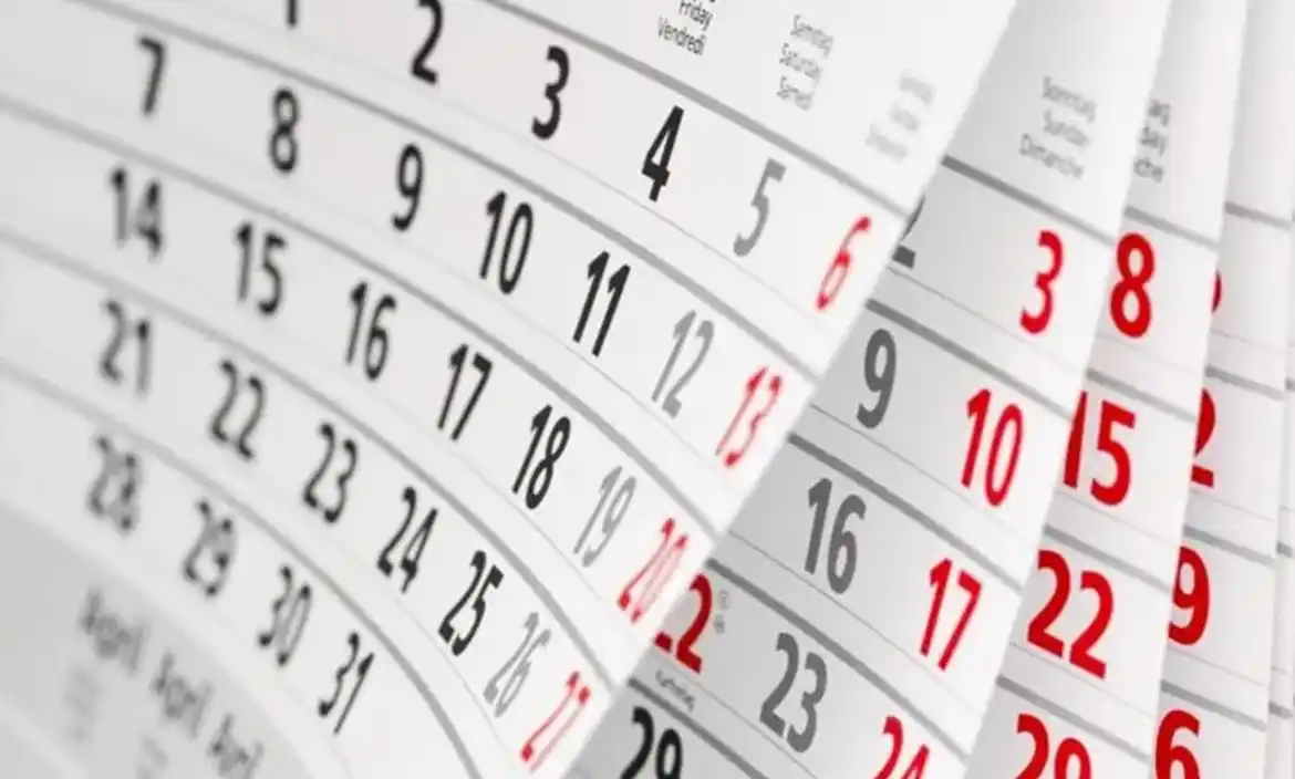 Feriados: ahora los trasladables que caigan el fin de semana podrán moverse