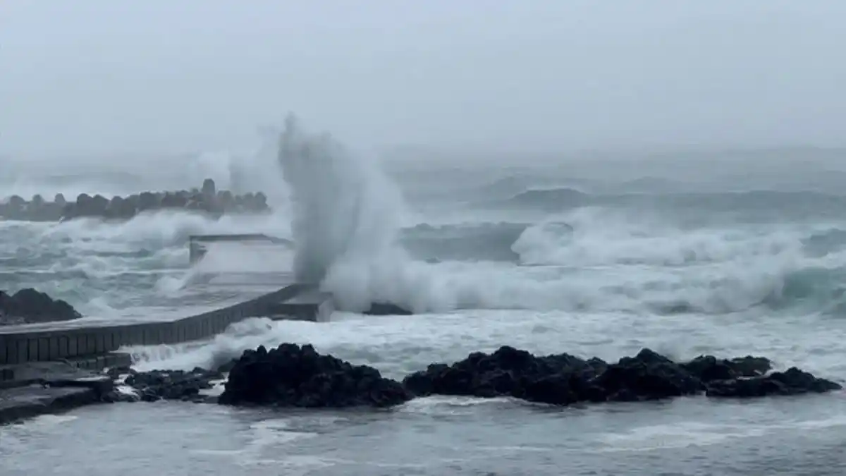 ¡ALARMA EN JAPÓN! Cientos de vuelos y trenes cancelados por un tifón que amenaza Tokio