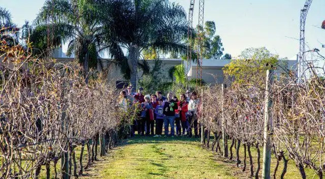 Alrededor de mil personas se acercaron a los viñedos entrerrianos este 25 de Mayo