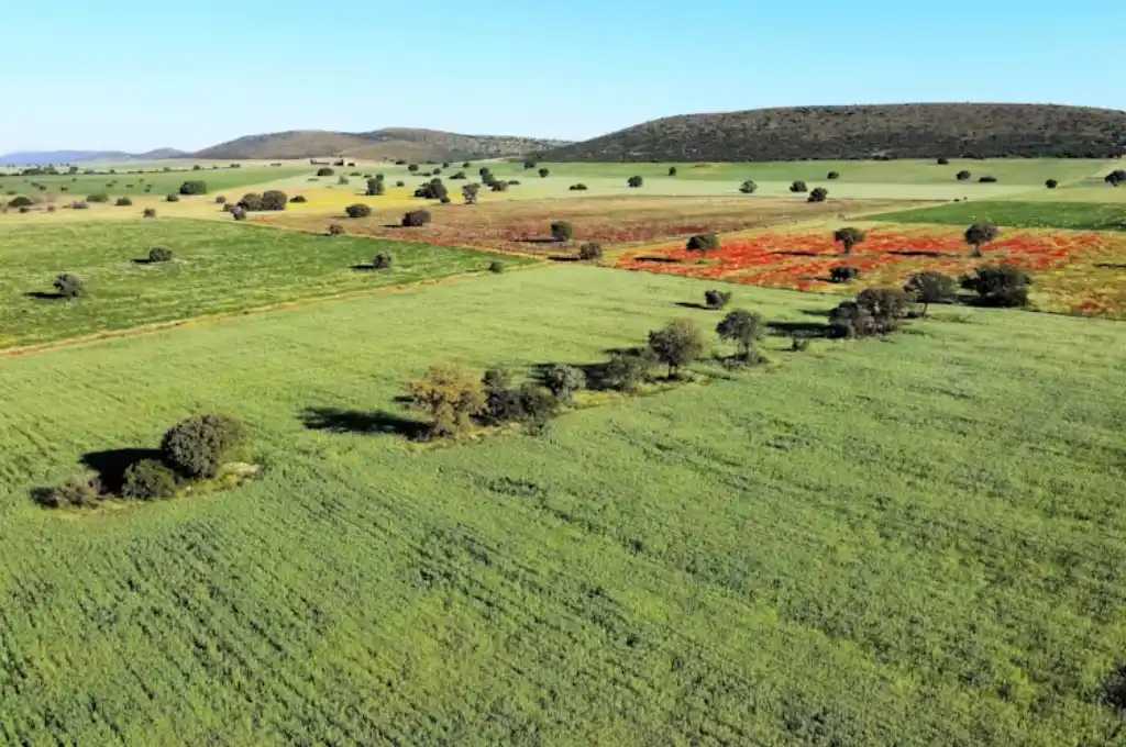Los beneficios de devolver la biodiversidad al campo