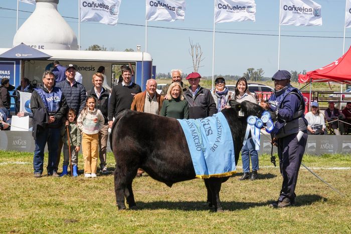 Gran Campeón Ternero Cañuelas