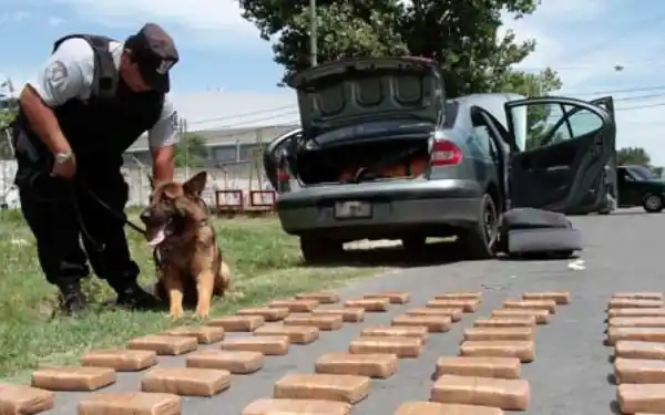 Conurbano: detienen 363 personas y decomisan drogas y armas en operativos de julio
