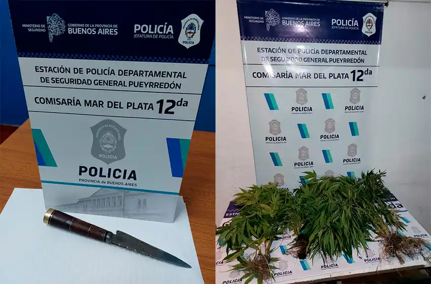 Pelea en conventillo: liberaron perros pitbull que mordieron a la policía