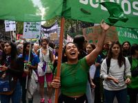 Duros cruces entre el Gobierno y entidades en el Día de la Mujer