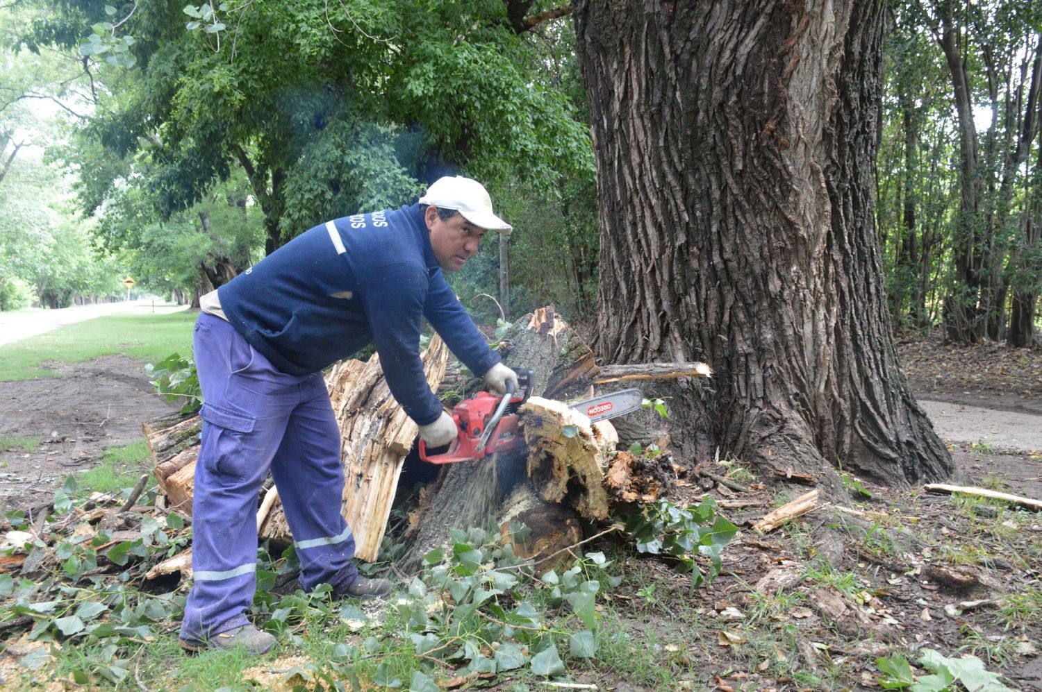 Intenso trabajo del personal municipal.