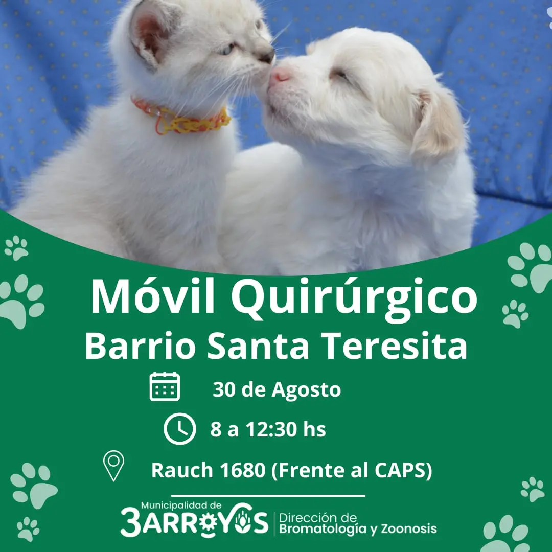 Castraciones gratuitas: esta semana en el Barrio Santa Teresita y Copetonas