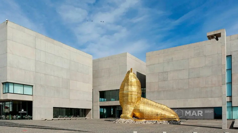 Verano Cultural Banco Provincia en el Museo MAR