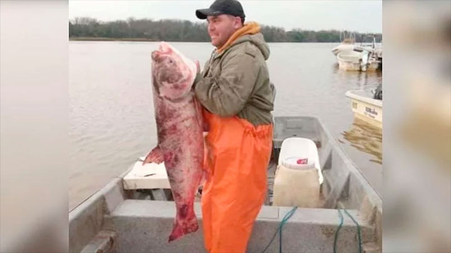 El extraño salmón gigante que pescaron en un arroyo que desemboca al Río Uruguay