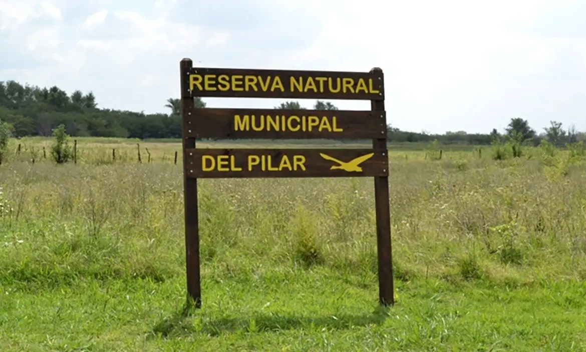 Convocan a voluntarios para restaurar el pastizal pampeano en la Reserva de Pilar