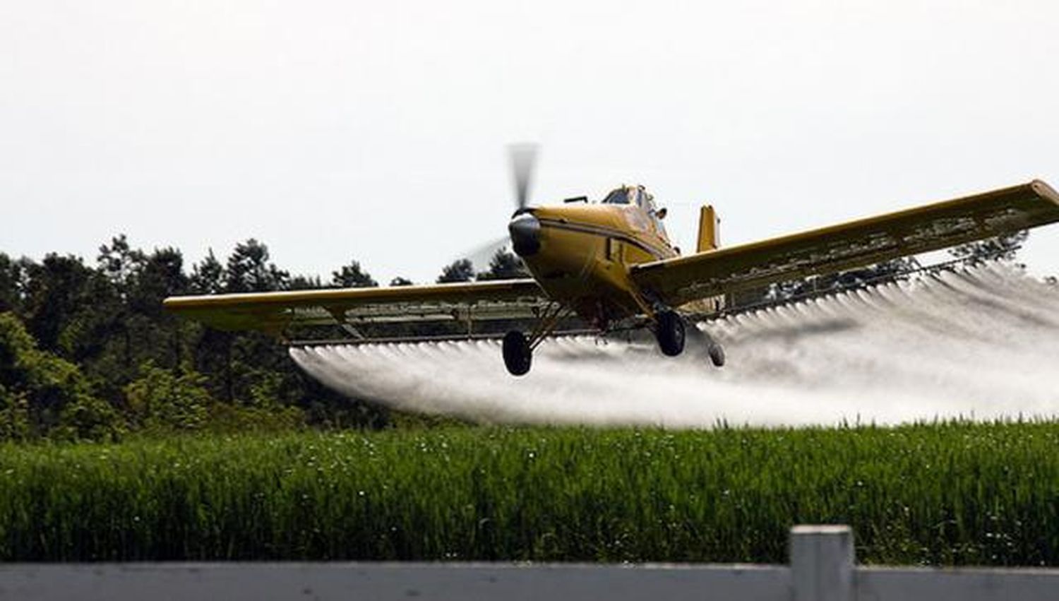 En foco: Los efectos de los agroquímicos sobre la salud