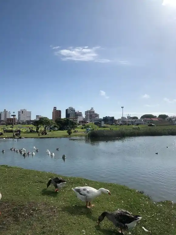 ¿Esta es tu primavera?: 0 grados de temperatura mínima y viento del noreste