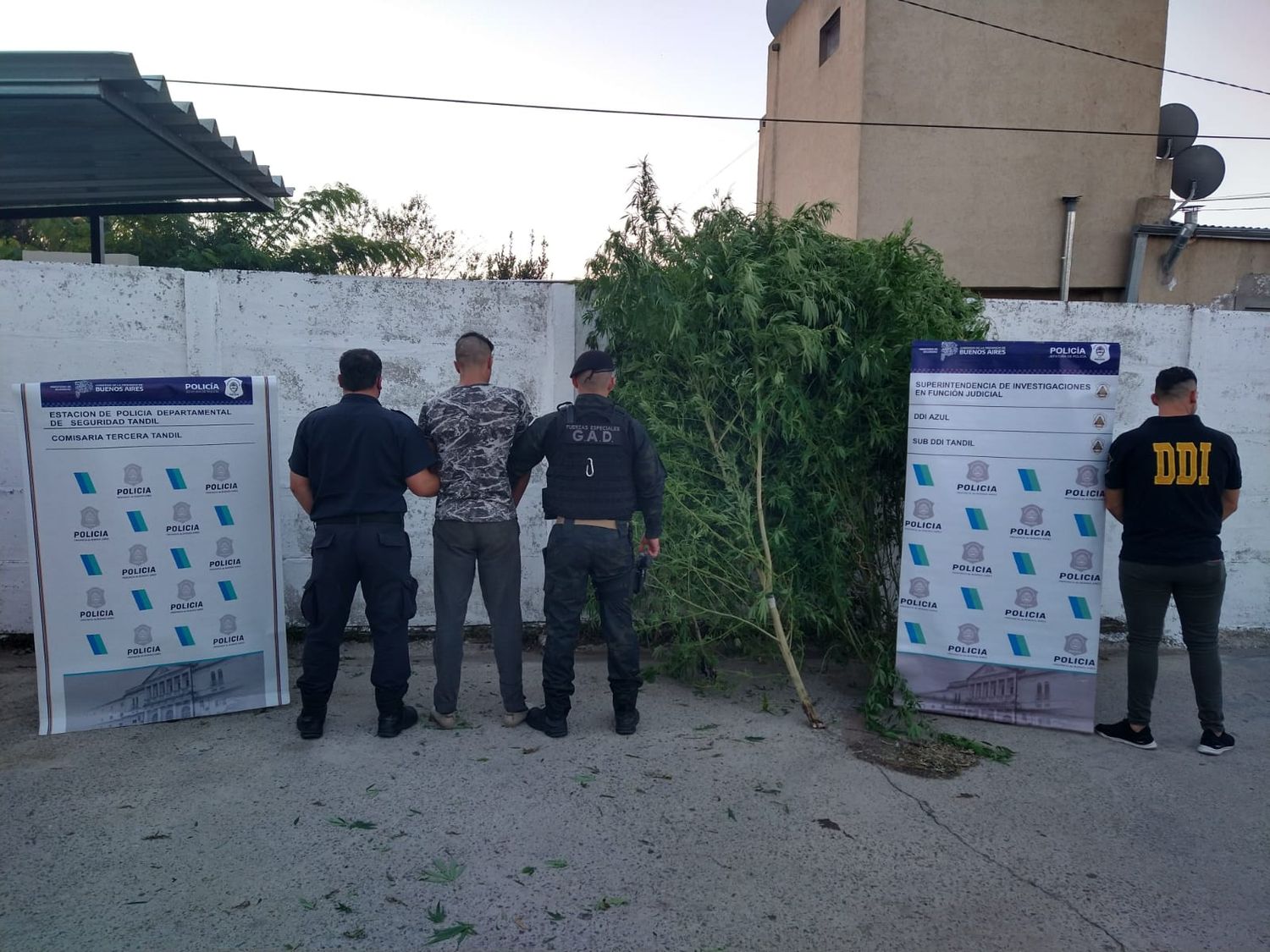 Detuvieron a un sospechoso por un asalto y secuestraron marihuana
