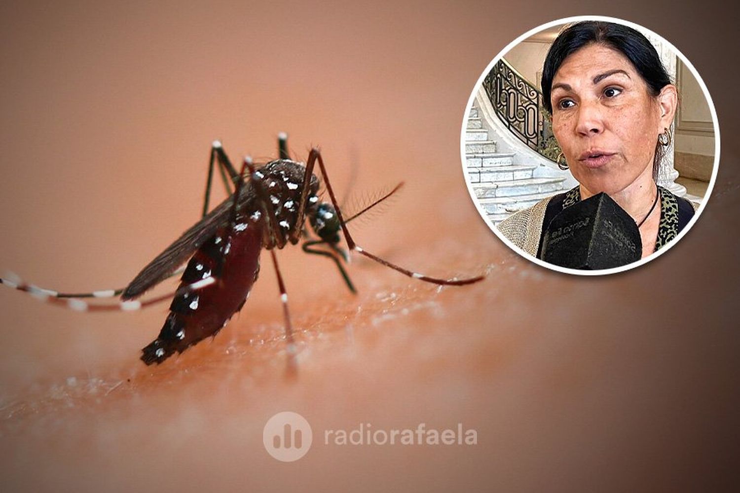 Siguen apareciendo casos de dengue en la región: “No se trata de alarmarse, sino de ocuparse”