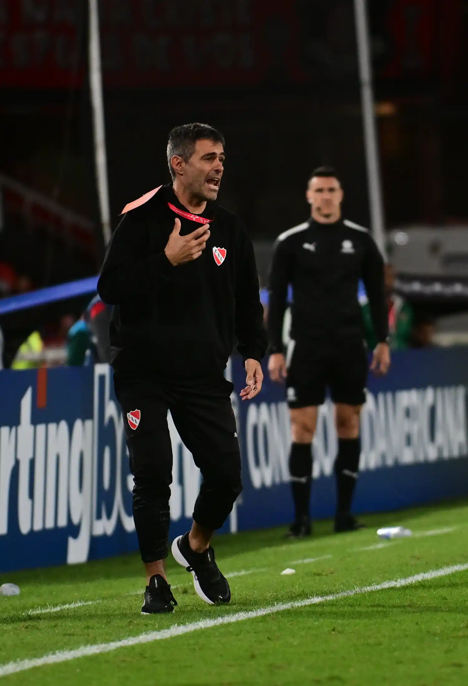 Vaccari, DT de Independiente.