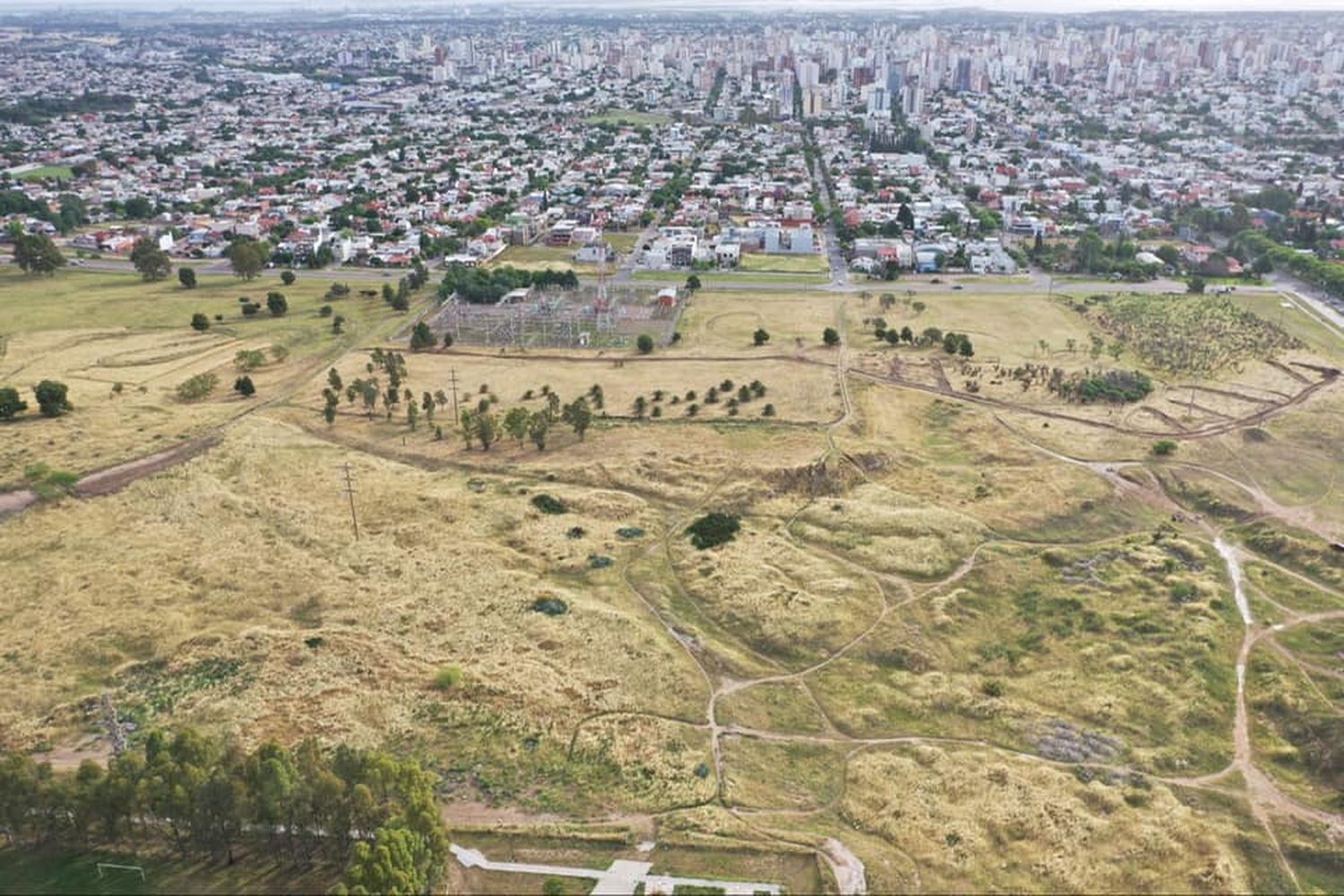 Bahía Blanca: Construyen parque ecológico con árboles nativos y endémicos