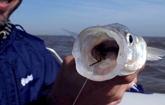El décimo Torneo de Pesca de Pejerrey será en Gualeguaychú