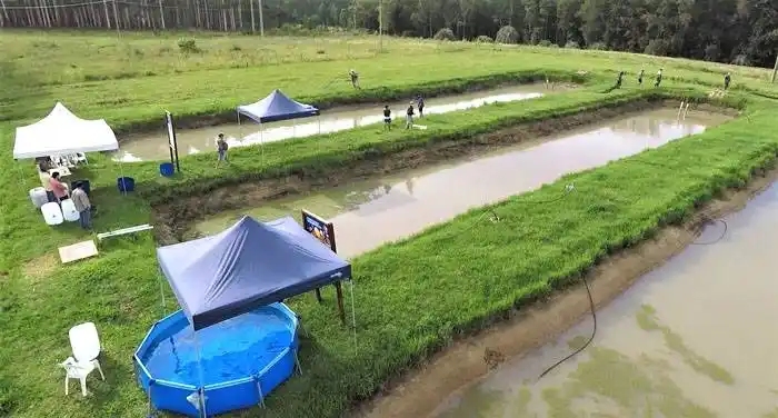 Salto Grande avanza con la cosecha de peces en la Estación Acuífera en el campo El Alambrado