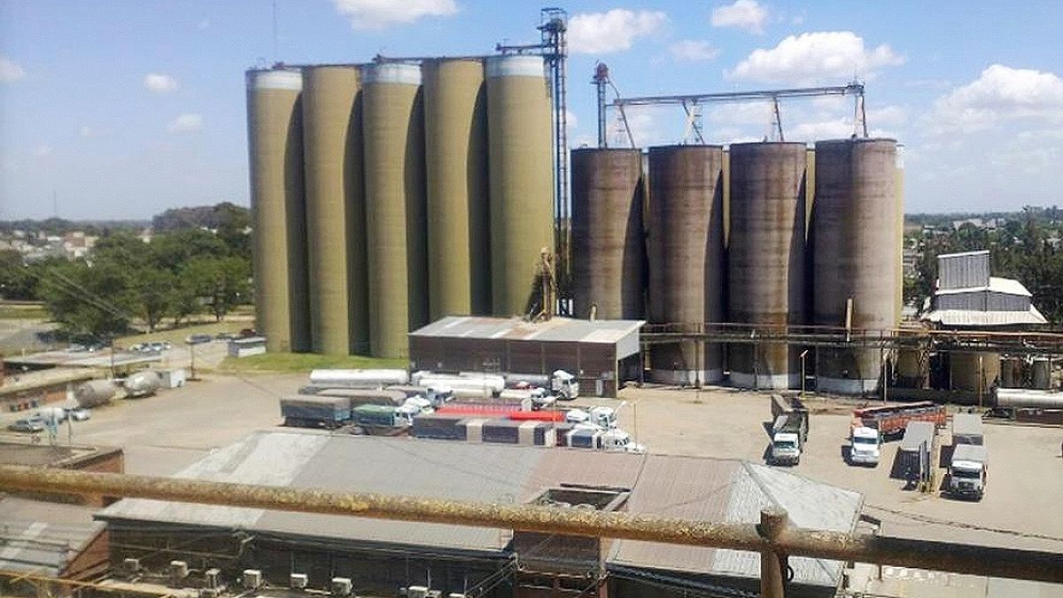 El gobierno aplicará una multa millonaria a molineras por la suba de precios de la harina