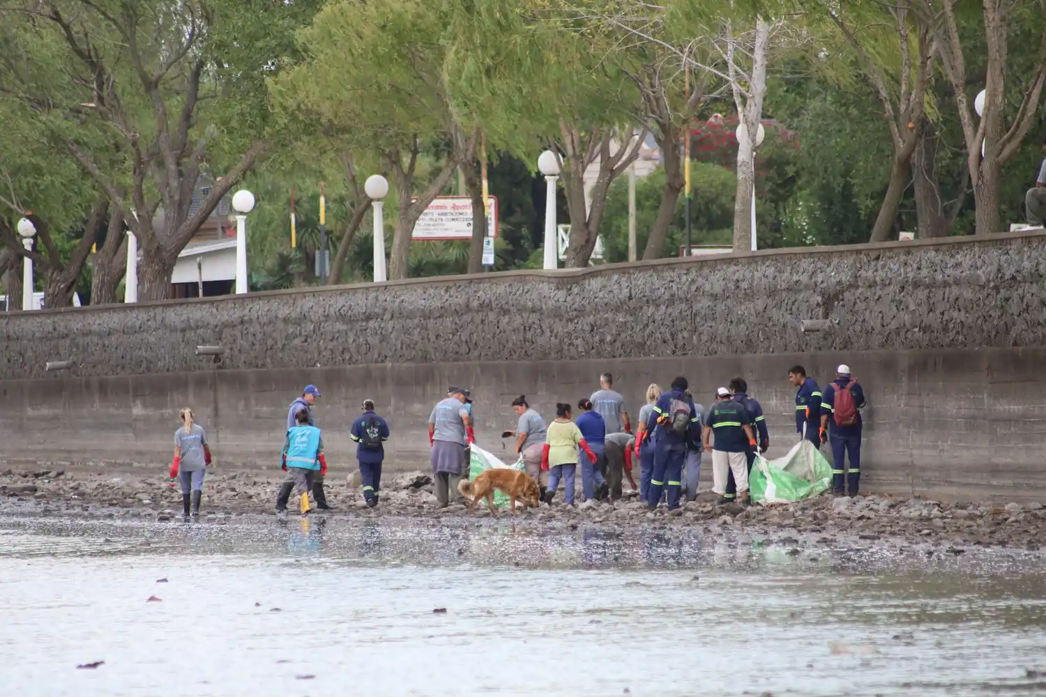 Tierra resquebrajada: la sequía genera nuevas postales en las lagunas bonaerenses