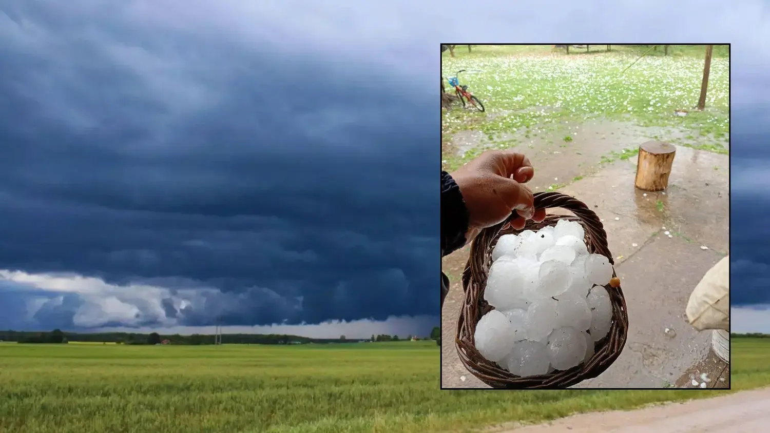 El Servicio Meteorológico Nacional emitió una alerta amarilla para este lunes. Este domingo en Gobernador Castro cayó granizo (Fotos: Red Colaborativa del INTA)