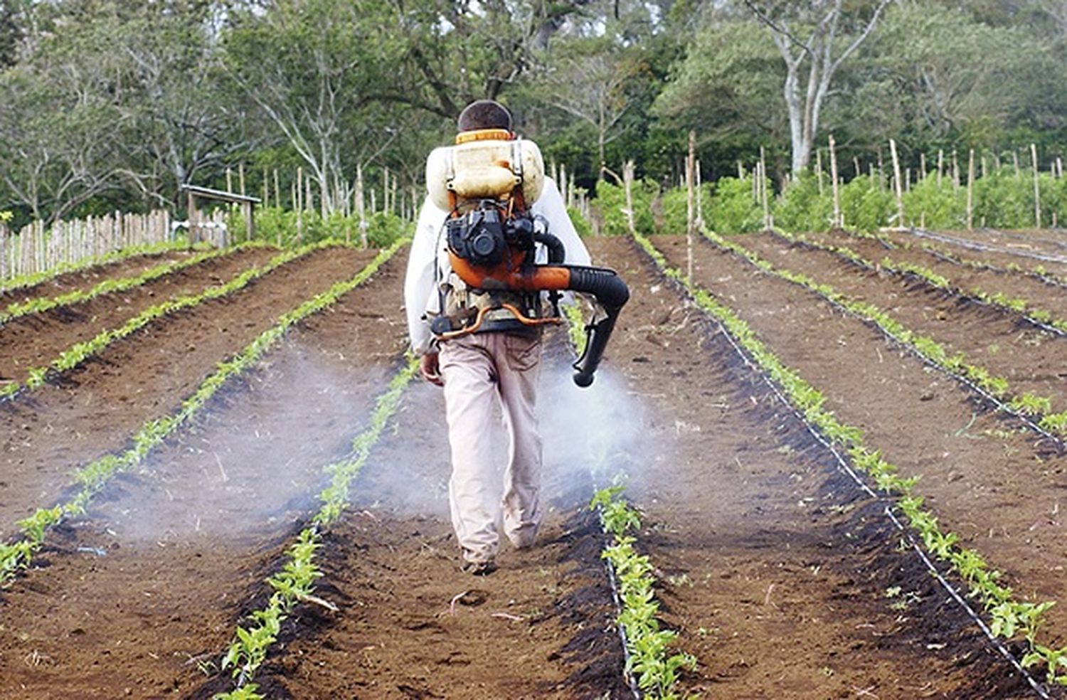 La FAA y el uso de agroquímicos: “El fundamentalismo no puede superar a la ciencia”