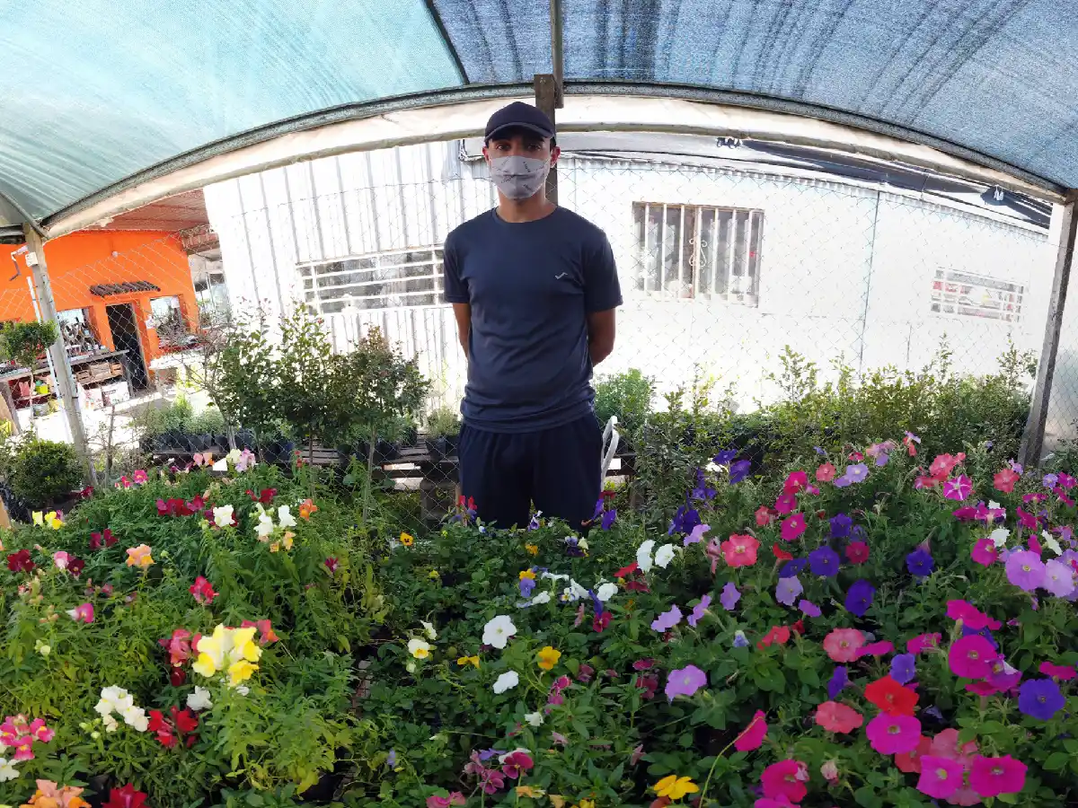 Plantas y flores listas para dar comienzo a la primavera 
