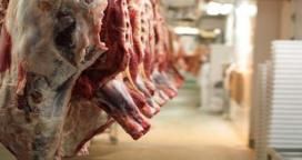 El 100% del crecimiento de la faena se explica por las exportaciones