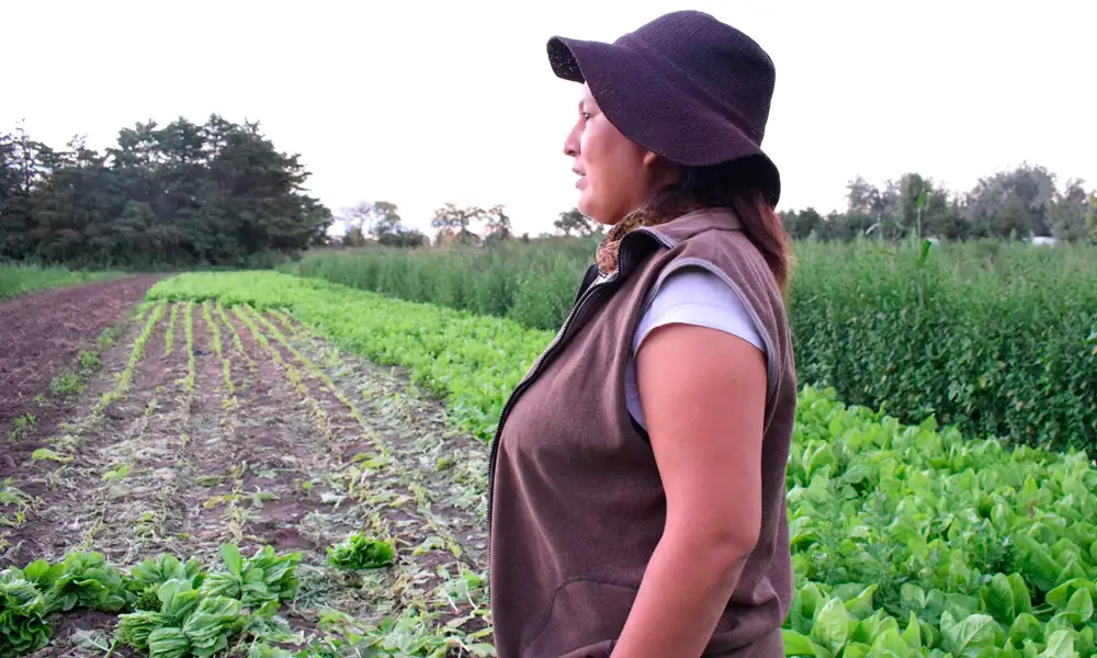 Día de la Mujer Rural: María Robotti y el delantal para cocinar y luchar