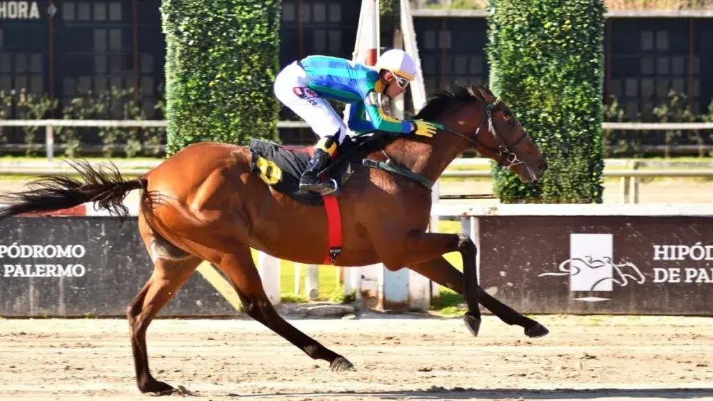 Tras su vuelta con triunfo, Blue Caviar quiere seguir por la buena senda en el Clásico General Belgrano (G2), en Palermo.