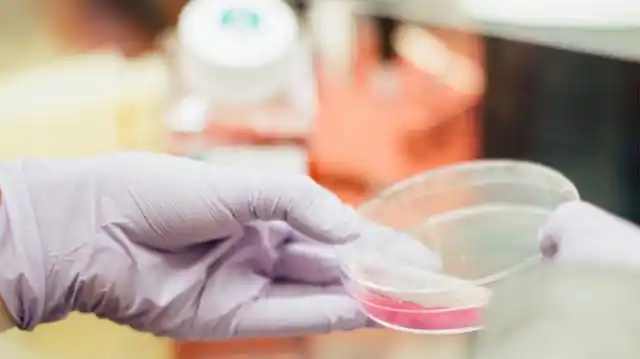 Cáncer de mama: aprobaron un nuevo tratamiento para pacientes con metástasis
