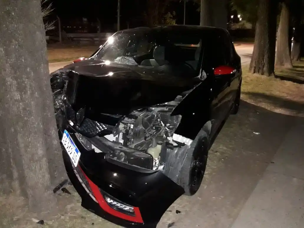 Subió el cordon y chocó con un árbol