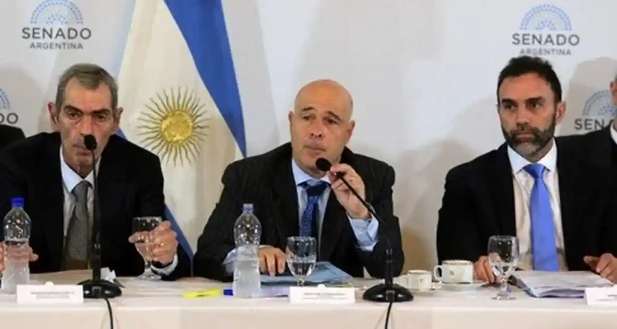 Los secretarios de Energía, Eduardo Rodríguez Chirillo y de Trabajo, Julio Cordero, exponen ante la Reunión plenaria de comisiones del Senado que trata la "Ley Bases". Foto NA