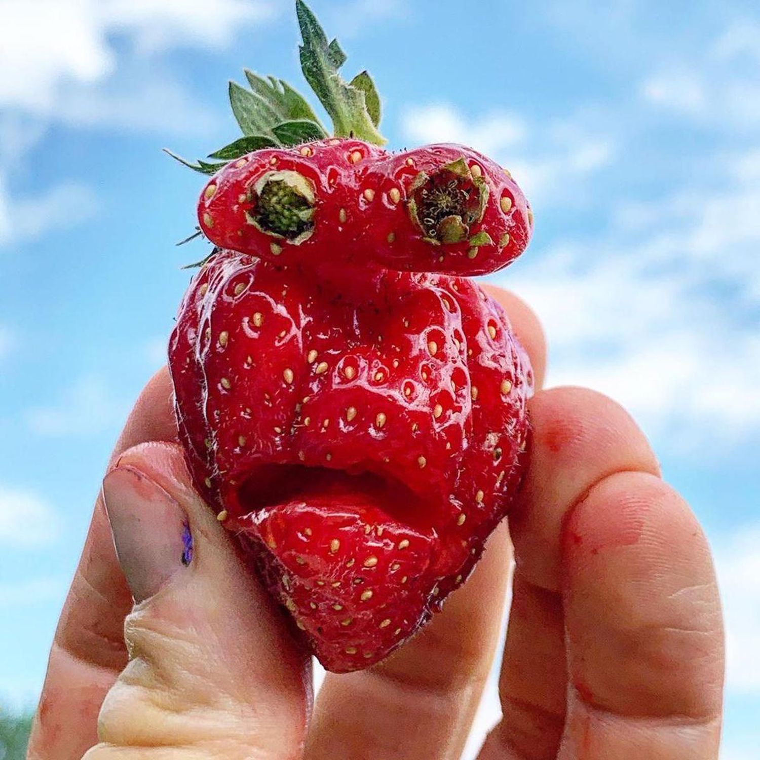 rostro frutilla
