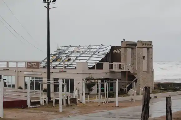 Caídas de ramas, cables y cartelería, aunque sin personas heridas