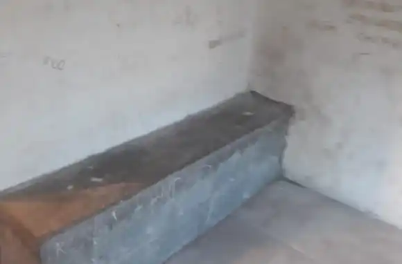 Denuncian un estado "inhumano" de la alcaidia de menores