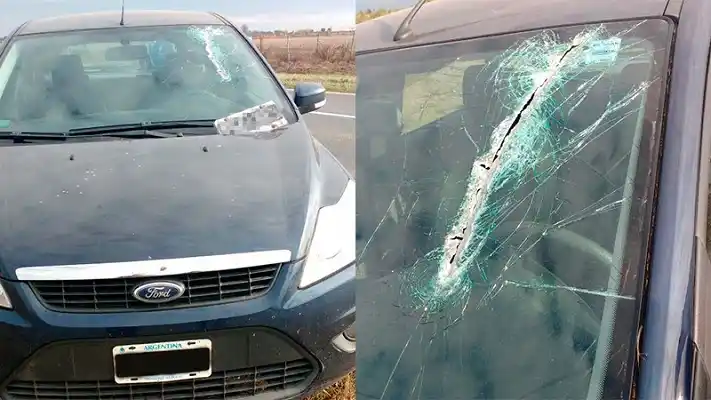 Patente perforó parabrisas e impactó en la cabeza de una mujer que está grave