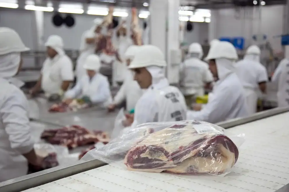 Menos cabezas, más kilos: la faena bovina cayó en 2026 pero creció el peso de los animales