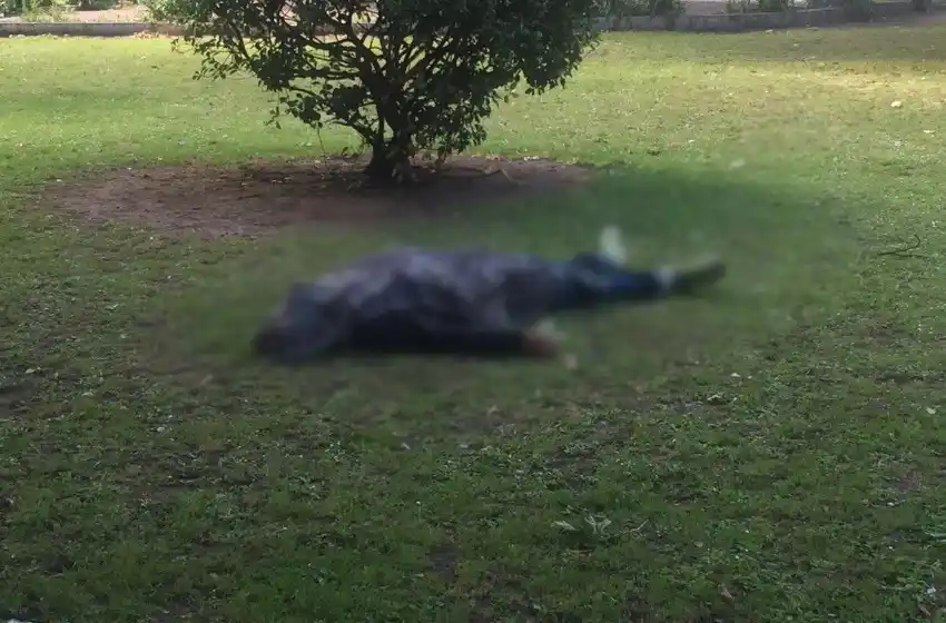 Encontraron a un hombre muerto en pleno centro de la ciudad