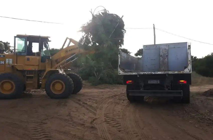 Gesell: los corralones municipales siguen con la recolección de poda
