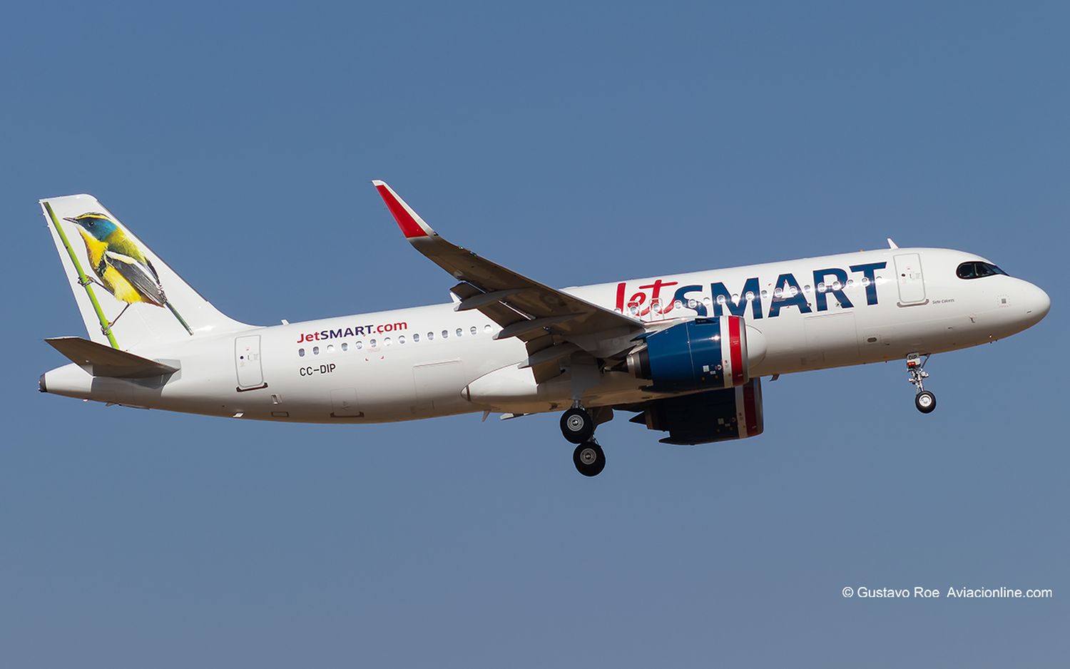 From Medellín to Mendoza: JetSMART's diverse route network