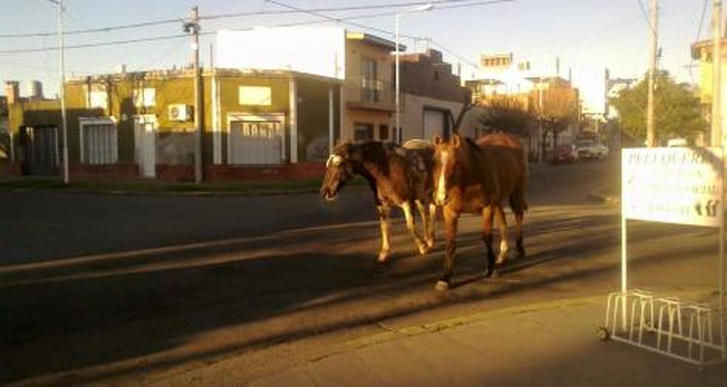 Un paseo por el centro