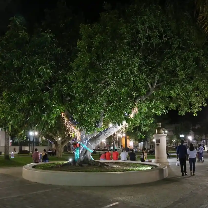 CAME rectificó sus datos sobre la venta ilegal en Villaguay