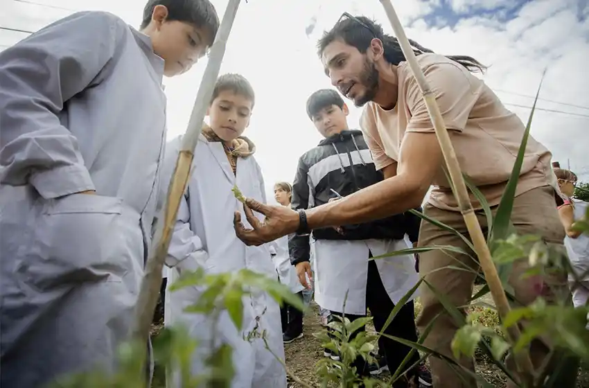 Desarrollan el programa de huertas en escuelas municipales