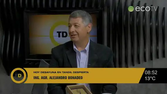 Liderazgo y Visión Global