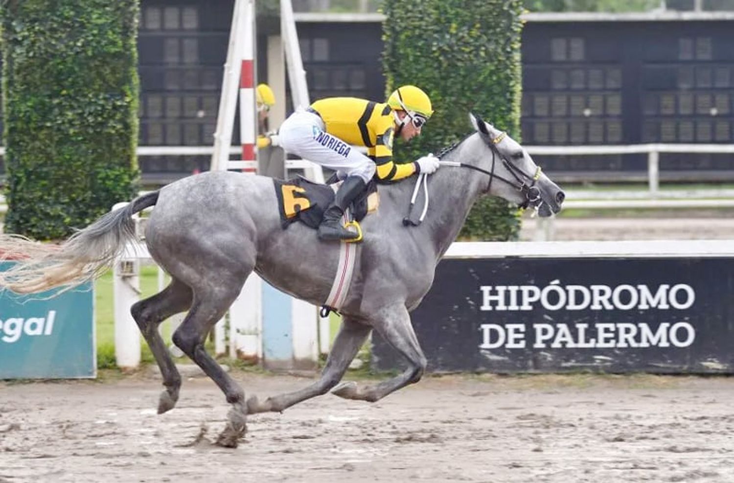 Lunes 10: Actividad Hipódromo de Palermo