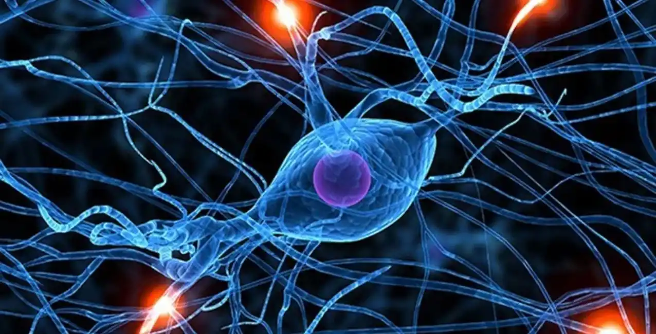 Un fármaco experimental para tratar el Alzhéimer sería efectivo contra la ELA