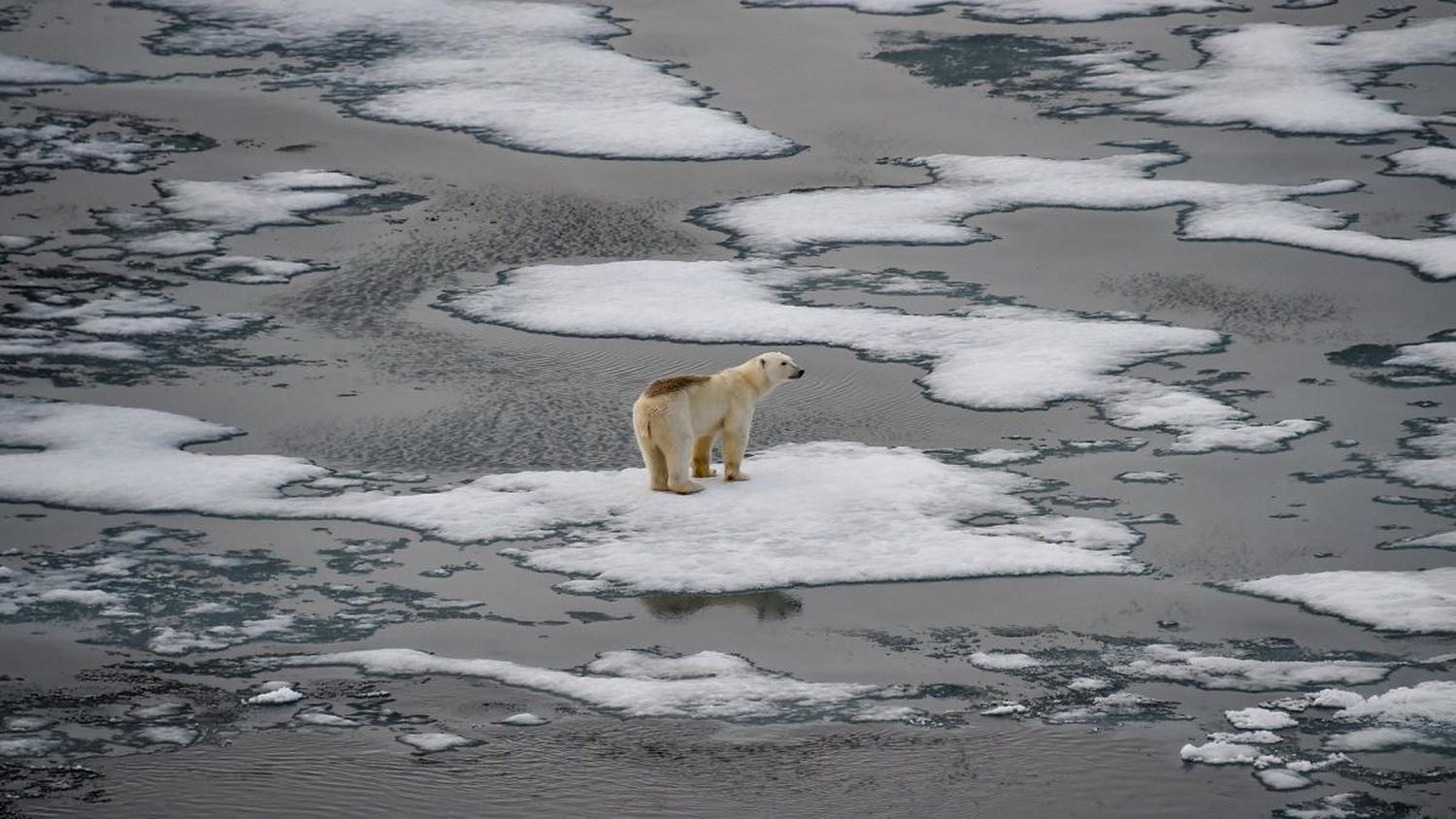 La ONU advirtió sobre las emisiones de CO2:  Deberían tocar su techo en 2025