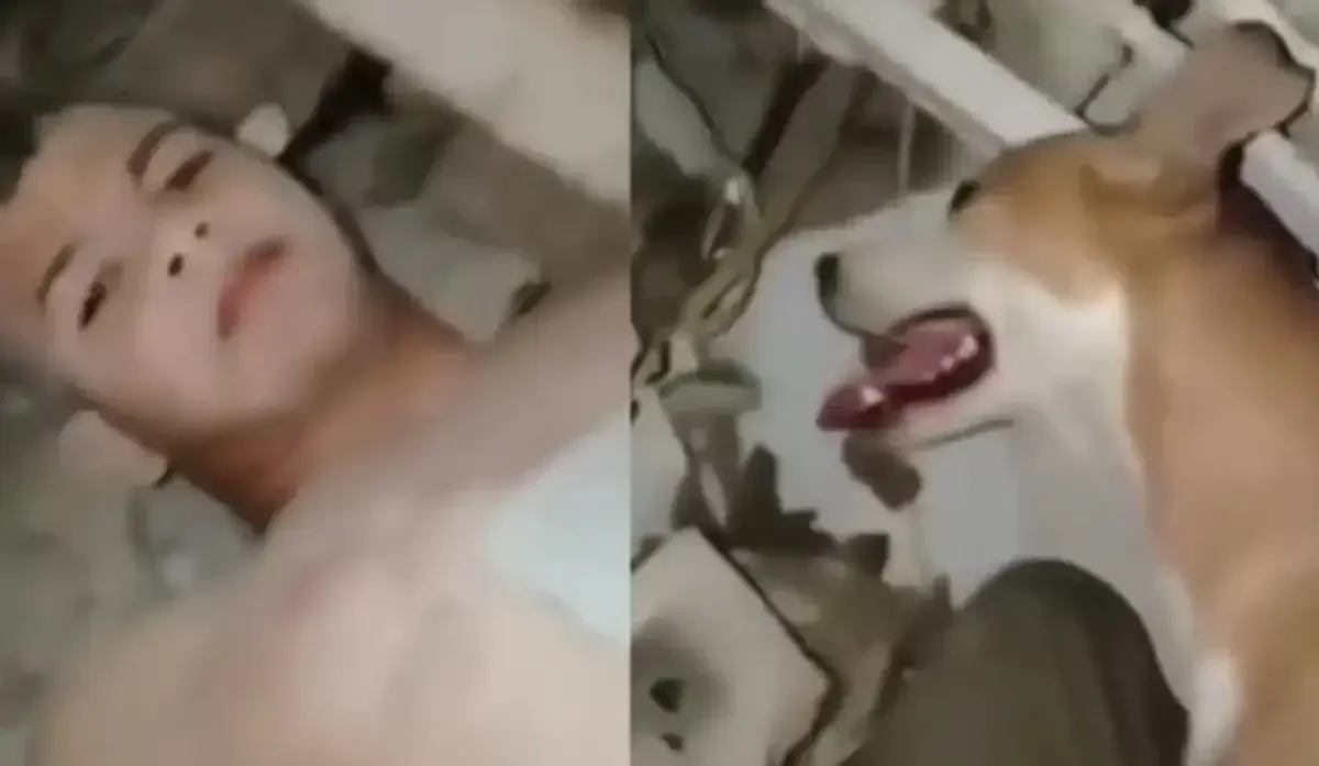 “Me lamía cuando me desmayaba”: sobrevivió 14 días bajo los escombros junto a su perro en Venezuela